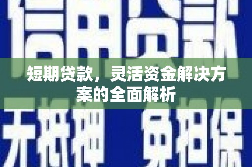 泰来短期贷款，灵活资金解决方案的全面解析