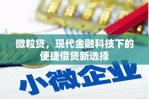泰来微粒贷，现代金融科技下的便捷借贷新选择