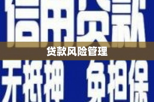 泰来贷款风险管理