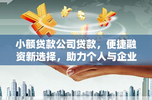 泰来小额贷款公司贷款，便捷融资新选择，助力个人与企业成长