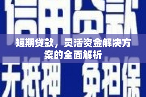 泰来短期贷款，灵活资金解决方案的全面解析