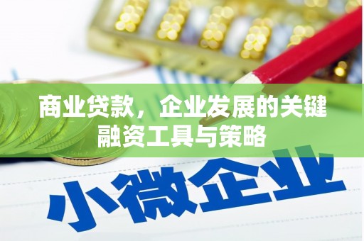 泰来商业贷款，企业发展的关键融资工具与策略