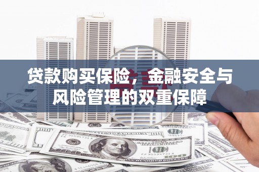 泰来贷款购买保险，金融安全与风险管理的双重保障