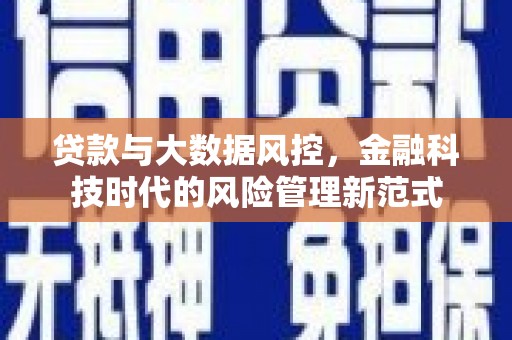 泰来贷款与大数据风控，金融科技时代的风险管理新范式