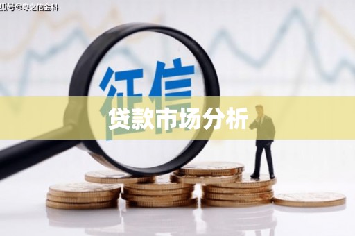 泰来贷款市场分析