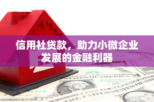 泰来信用社贷款，助力小微企业发展的金融利器
