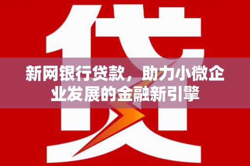 泰来新网银行贷款，助力小微企业发展的金融新引擎