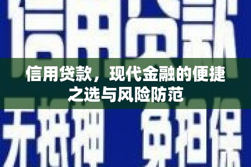 泰来信用贷款，现代金融的便捷之选与风险防范
