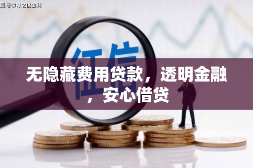 泰来无隐藏费用贷款，透明金融，安心借贷