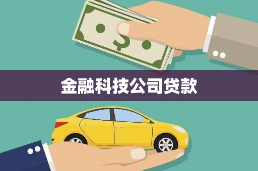 泰来金融科技公司贷款