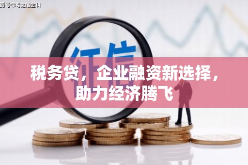 泰来税务贷，企业融资新选择，助力经济腾飞