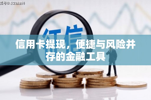 泰来信用卡提现，便捷与风险并存的金融工具