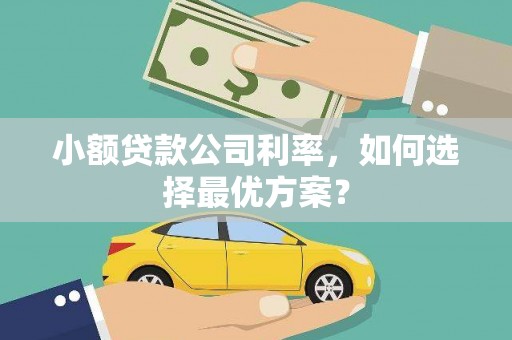 泰来小额贷款公司利率，如何选择最优方案？