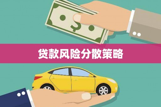 泰来贷款风险分散策略