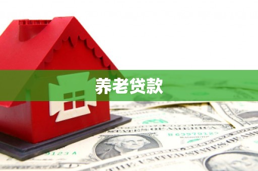 泰来养老贷款