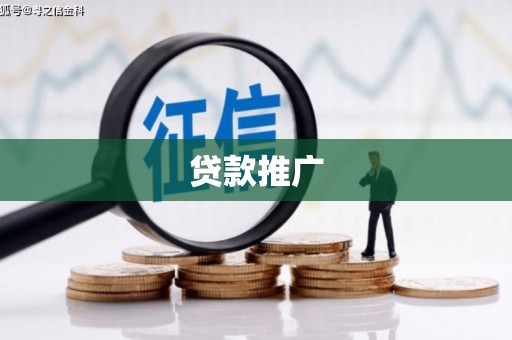 泰来贷款推广