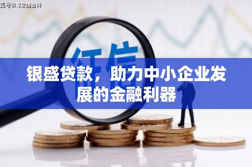 泰来银盛贷款，助力中小企业发展的金融利器
