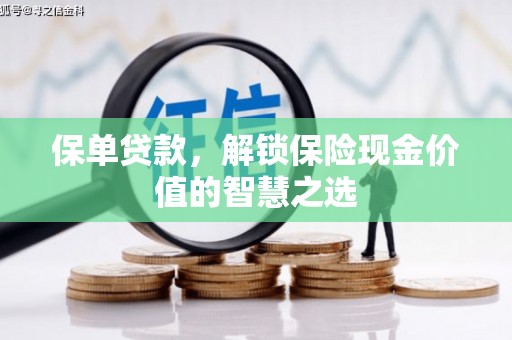 泰来保单贷款，解锁保险现金价值的智慧之选