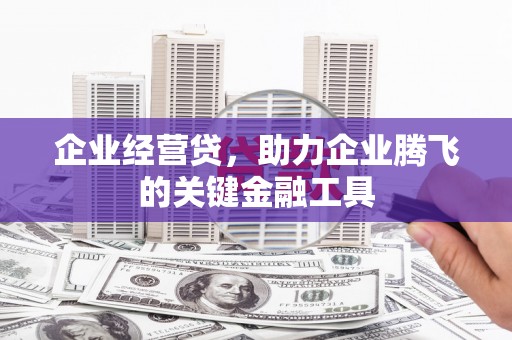 泰来企业经营贷，助力企业腾飞的关键金融工具