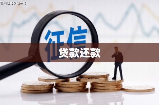 泰来贷款还款