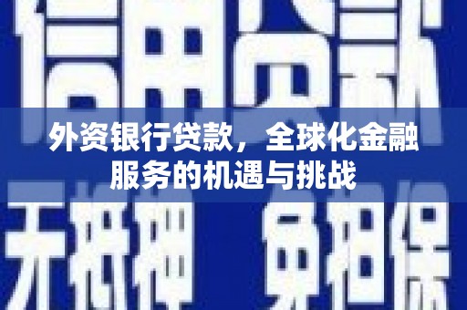 泰来外资银行贷款，全球化金融服务的机遇与挑战
