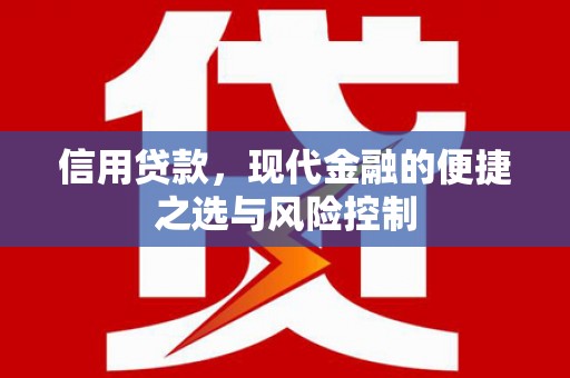 泰来信用贷款，现代金融的便捷之选与风险控制