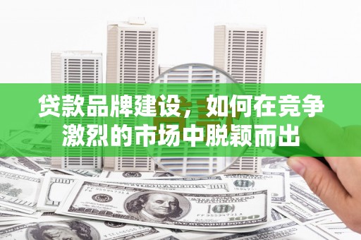 泰来贷款品牌建设，如何在竞争激烈的市场中脱颖而出