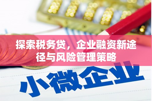 泰来探索税务贷，企业融资新途径与风险管理策略
