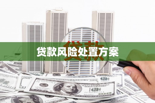 泰来贷款风险处置方案
