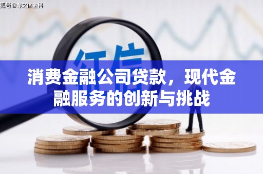 泰来消费金融公司贷款，现代金融服务的创新与挑战