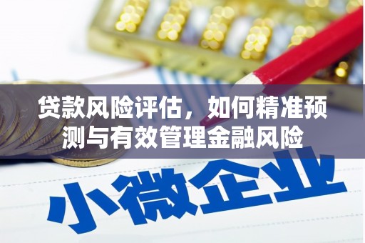 泰来贷款风险评估，如何精准预测与有效管理金融风险