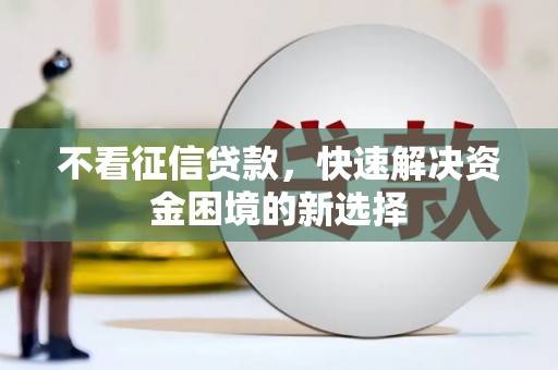 泰来不看征信贷款，快速解决资金困境的新选择