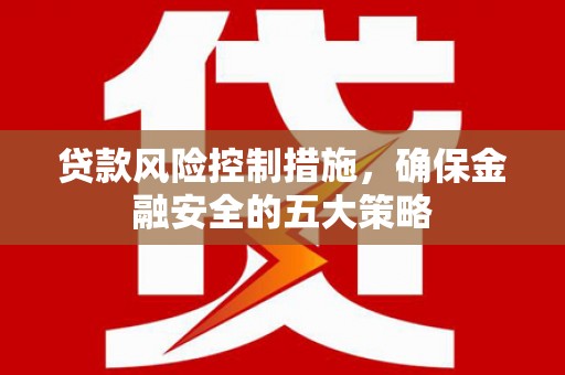 泰来贷款风险控制措施，确保金融安全的五大策略