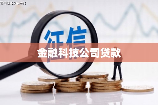 泰来金融科技公司贷款