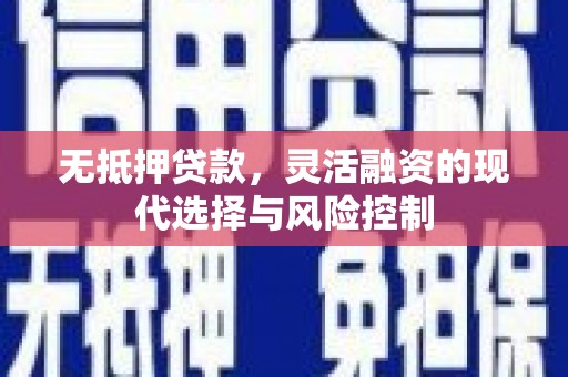 泰来无抵押贷款，灵活融资的现代选择与风险控制