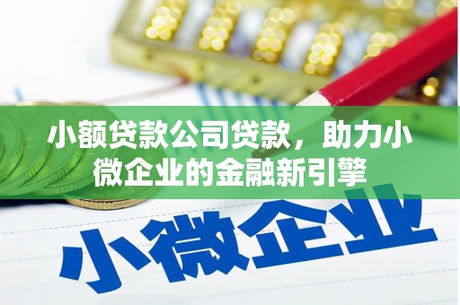 泰来小额贷款公司贷款，助力小微企业的金融新引擎
