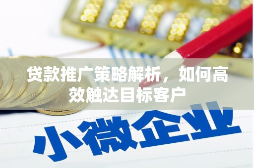 泰来贷款推广策略解析，如何高效触达目标客户