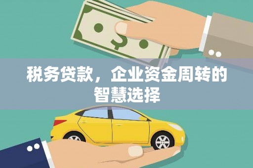 泰来税务贷款，企业资金周转的智慧选择