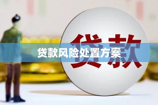 泰来贷款风险处置方案