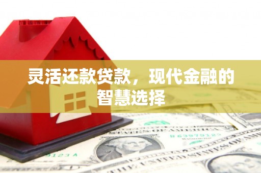 泰来灵活还款贷款，现代金融的智慧选择