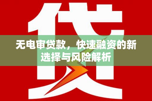 泰来无电审贷款，快速融资的新选择与风险解析