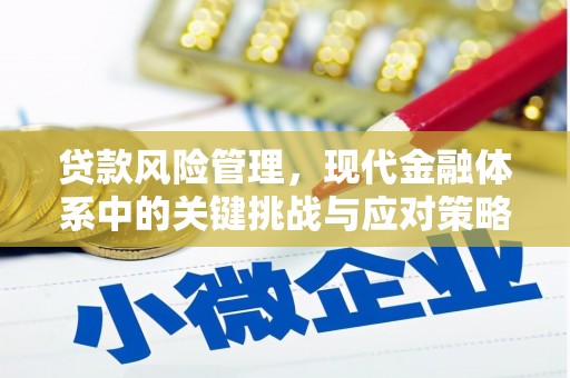 泰来贷款风险管理，现代金融体系中的关键挑战与应对策略