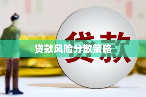 泰来贷款风险分散策略