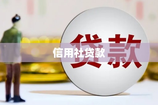 泰来信用社贷款