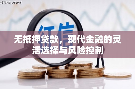泰来无抵押贷款，现代金融的灵活选择与风险控制