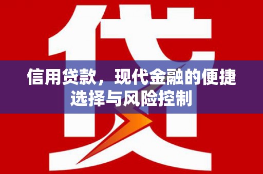 泰来信用贷款，现代金融的便捷选择与风险控制