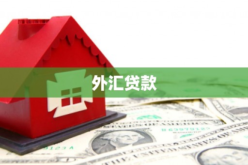 泰来外汇贷款