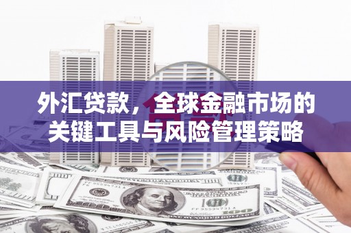 泰来外汇贷款，全球金融市场的关键工具与风险管理策略
