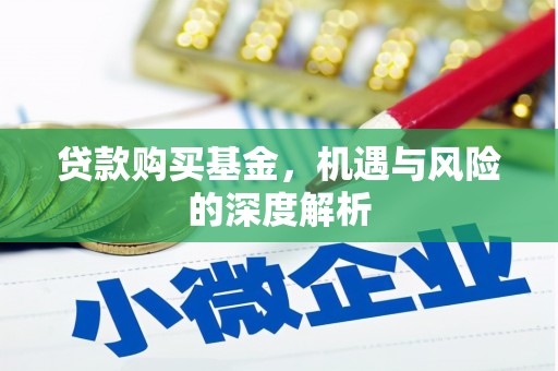 泰来贷款购买基金，机遇与风险的深度解析