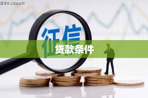 泰来贷款条件